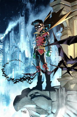 Robin fan art by GlebMelnikov8 [2020]