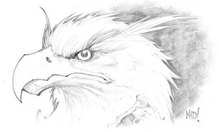 DragonKind Kavian head concept art (Pencil)