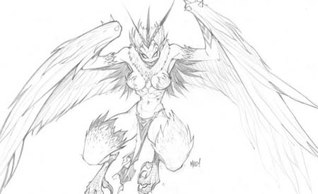 DragonKind vultorture (Harpy) concept art (Pencil)